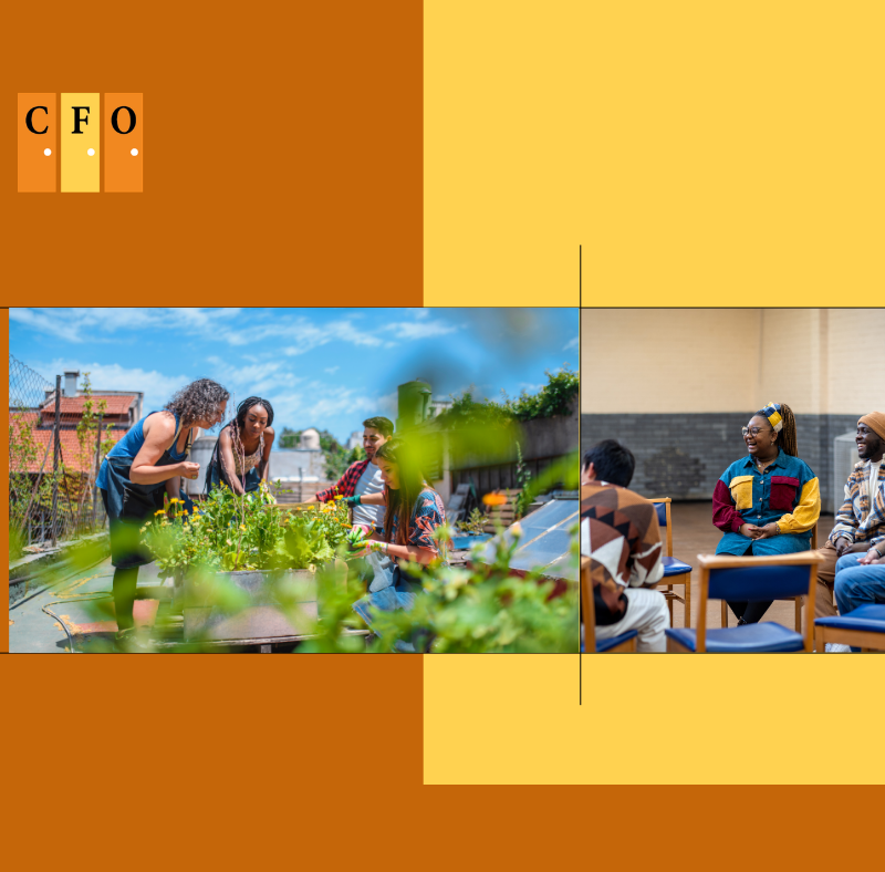 A community garden group and a peer support circle, showing how small moments of connection build belonging.