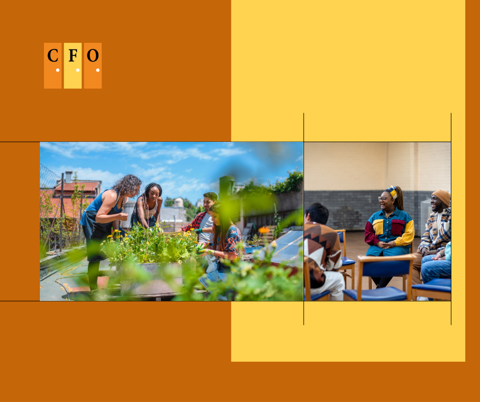 A community garden group and a peer support circle, showing how small moments of connection build belonging.